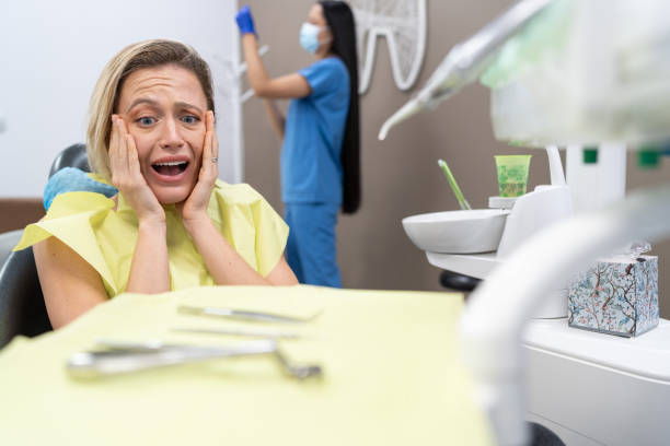 Best Broken or Chipped Tooth Repair in Shorewood, MN
